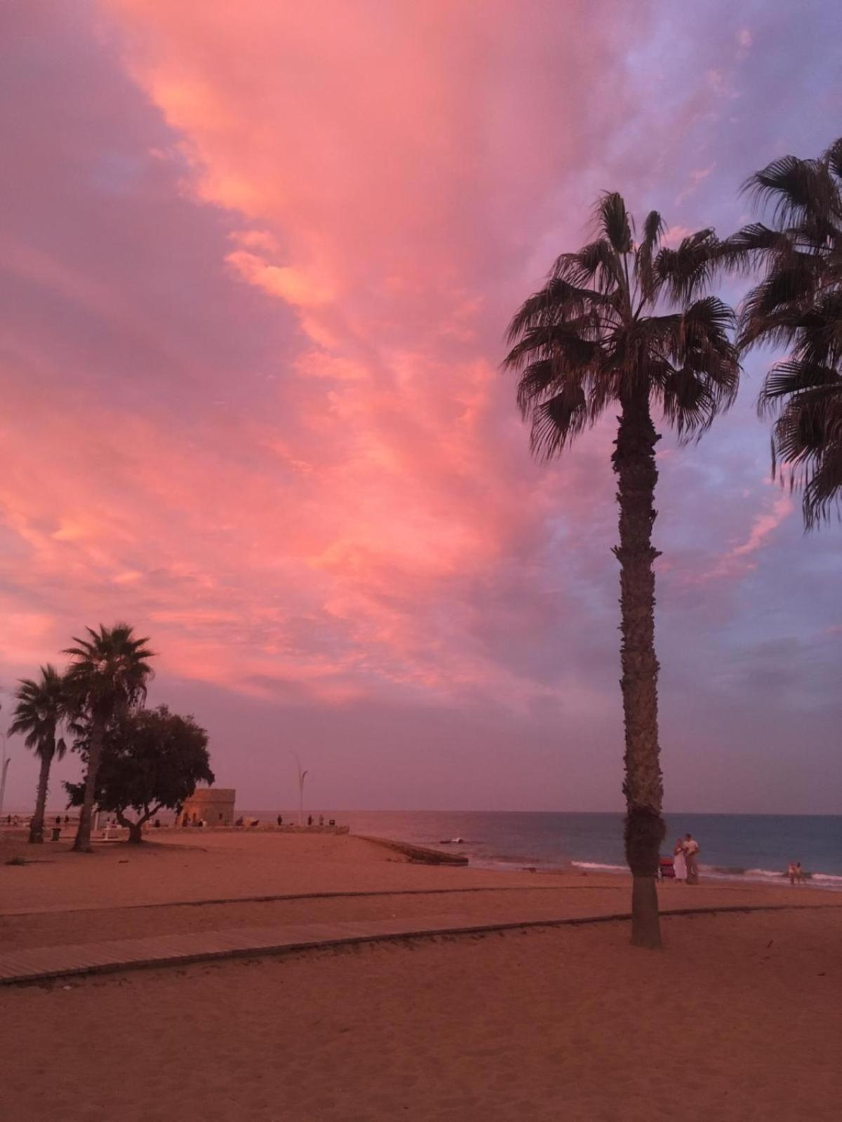 Apj Emperadores Apartment With Swimming Pool, 100 M From Beach La Mata 拉马他 外观 照片